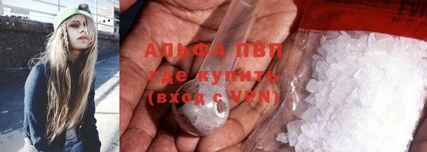 твердый Алзамай